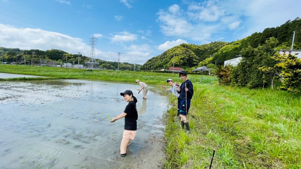 新人ブログ用田植え.jpg