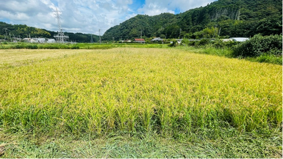 image_20230915_16.56.59.png